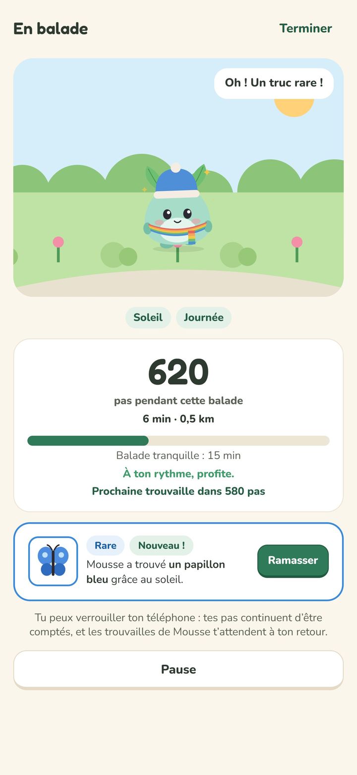 Balade en cours : 620 pas, Sooky a trouvé un papillon bleu rare